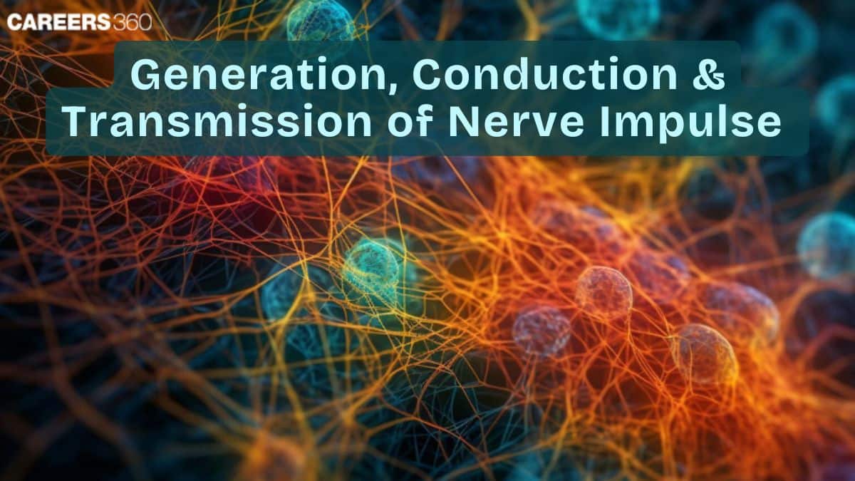 Generation, Conduction And Transmission Of Nerve Impulse: Process & Types